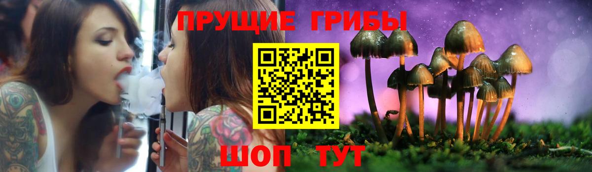 Фролово  Псилоцибиновые грибы прущие грибы  Вход с VPN  Псилоцибиновые грибы Cubensis 